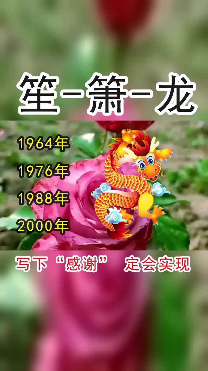 屬龍吉利數(shù)字女