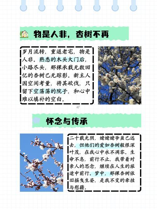 杏花指何事生肖