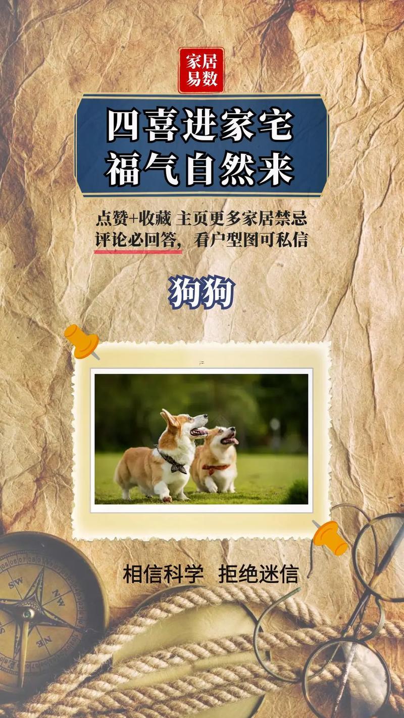 蝙蝠入屋是不吉利得