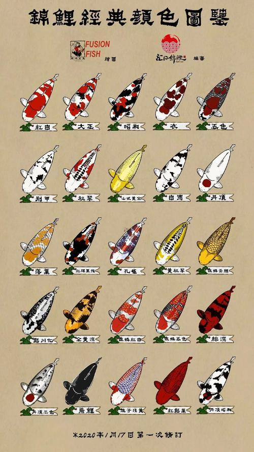 魚五行屬何事