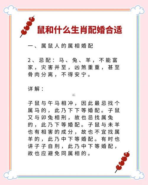 屬豬與屬鼠的婚姻怎么樣