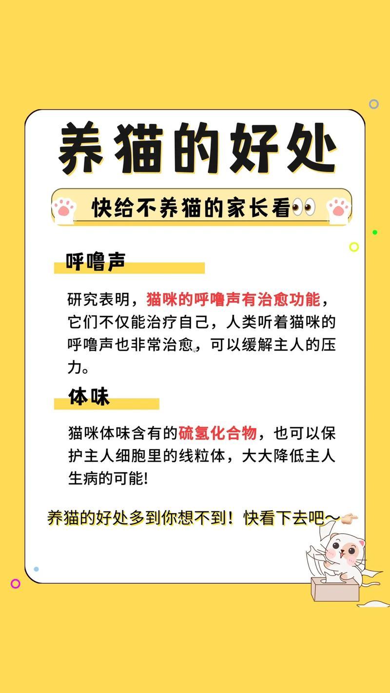 屬虎的人虎年養(yǎng)貓