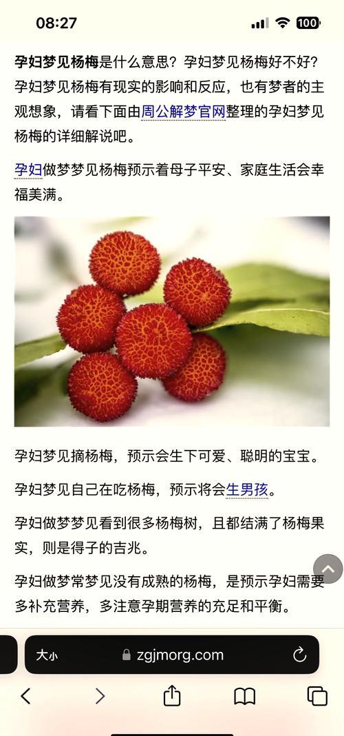 周公解夢(mèng)夢(mèng)見葡萄跟李子