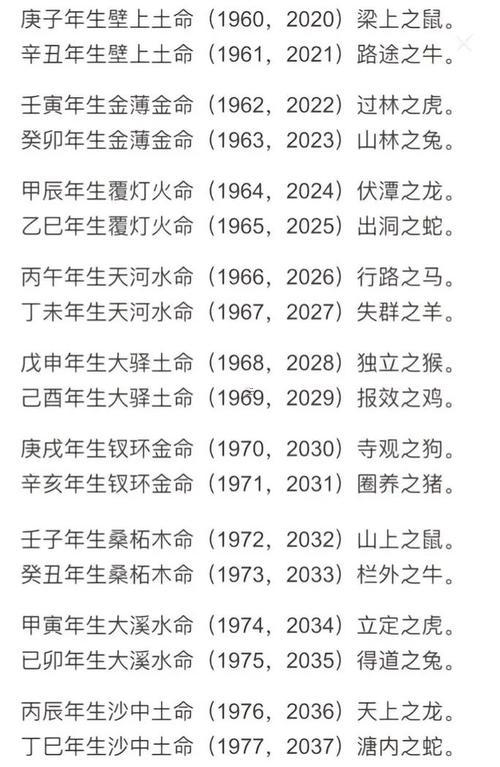 算命先生說自己命好