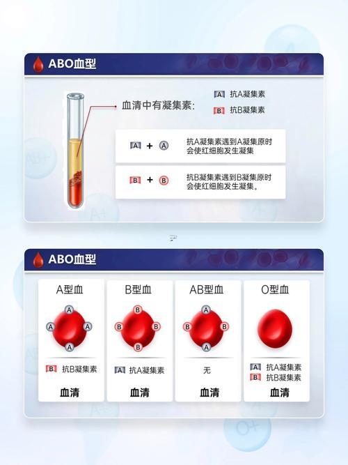 ab型血性格