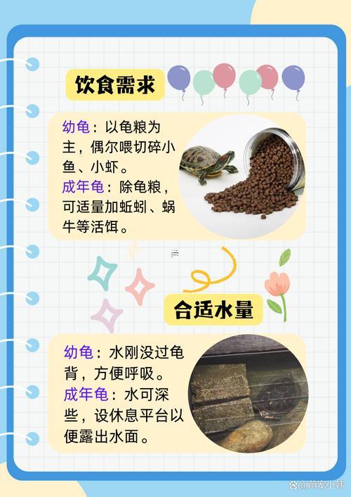 家里養(yǎng)烏龜對提升財運有幫助嗎