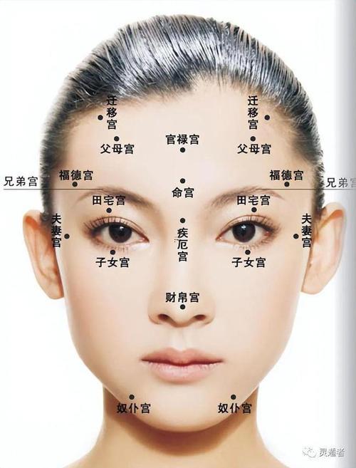 女人面相圖