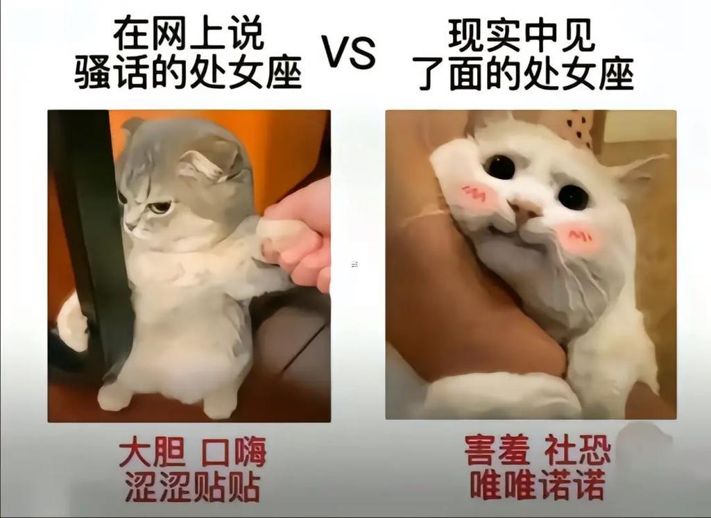 處女座男生不好處有何事