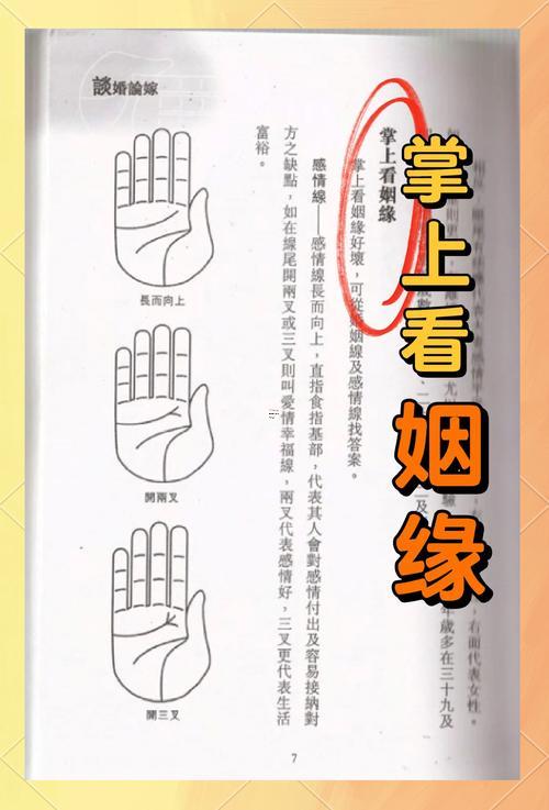 愛情線是那一條