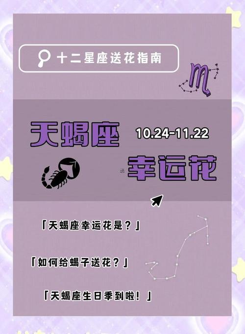 摩羯座的人喜歡花么