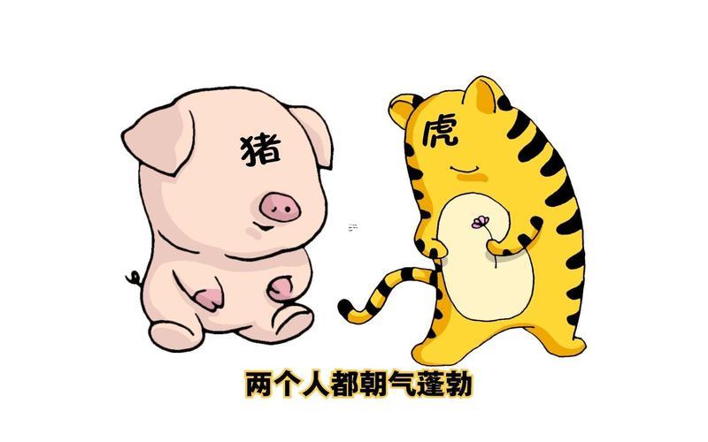 豬跟虎相配婚姻怎么