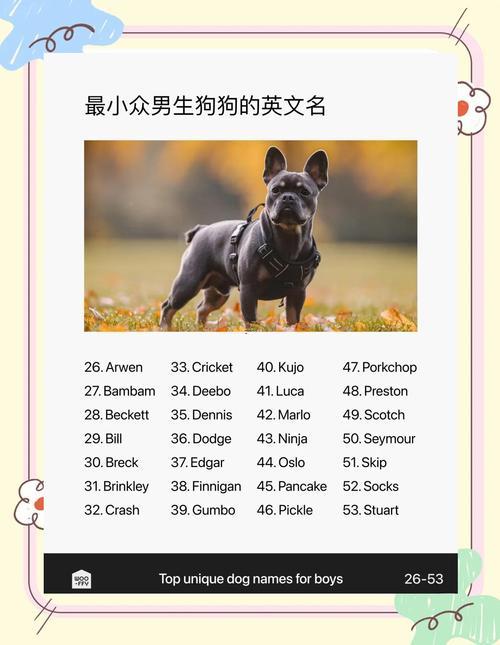狗的名字