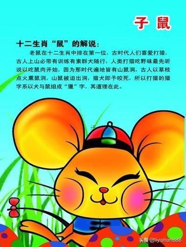 老鼠是哪一年出生的