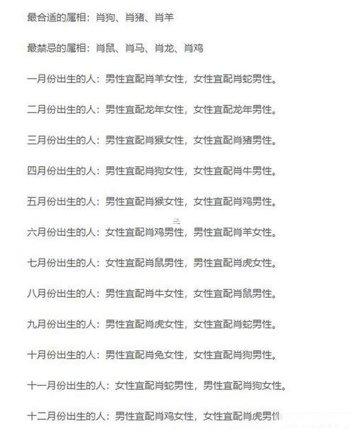 屬豬與屬兔的合不合