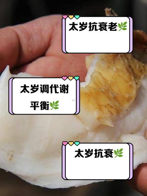 何為太歲