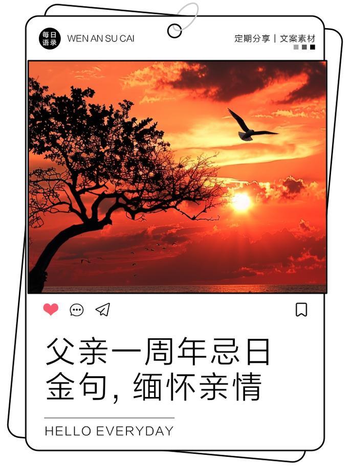 隨什么東西東西隨什么東西