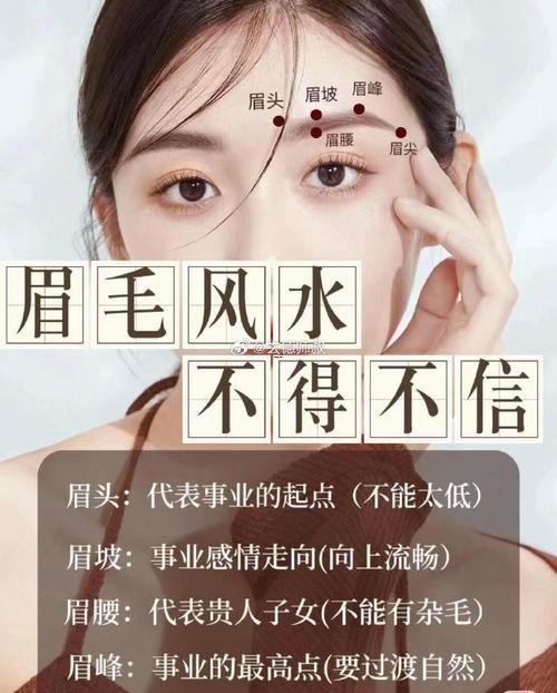 啥眉型招財(cái)