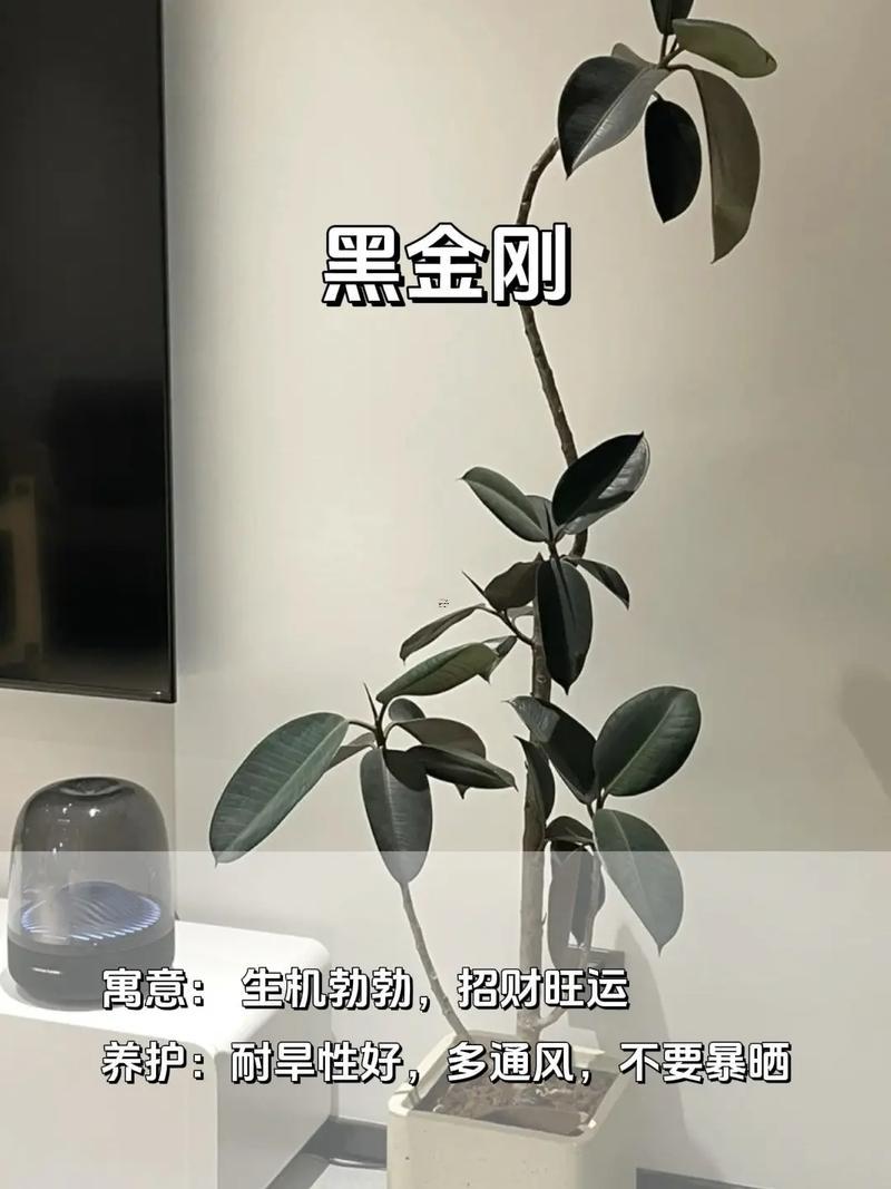 何事東西避小人招財(cái)