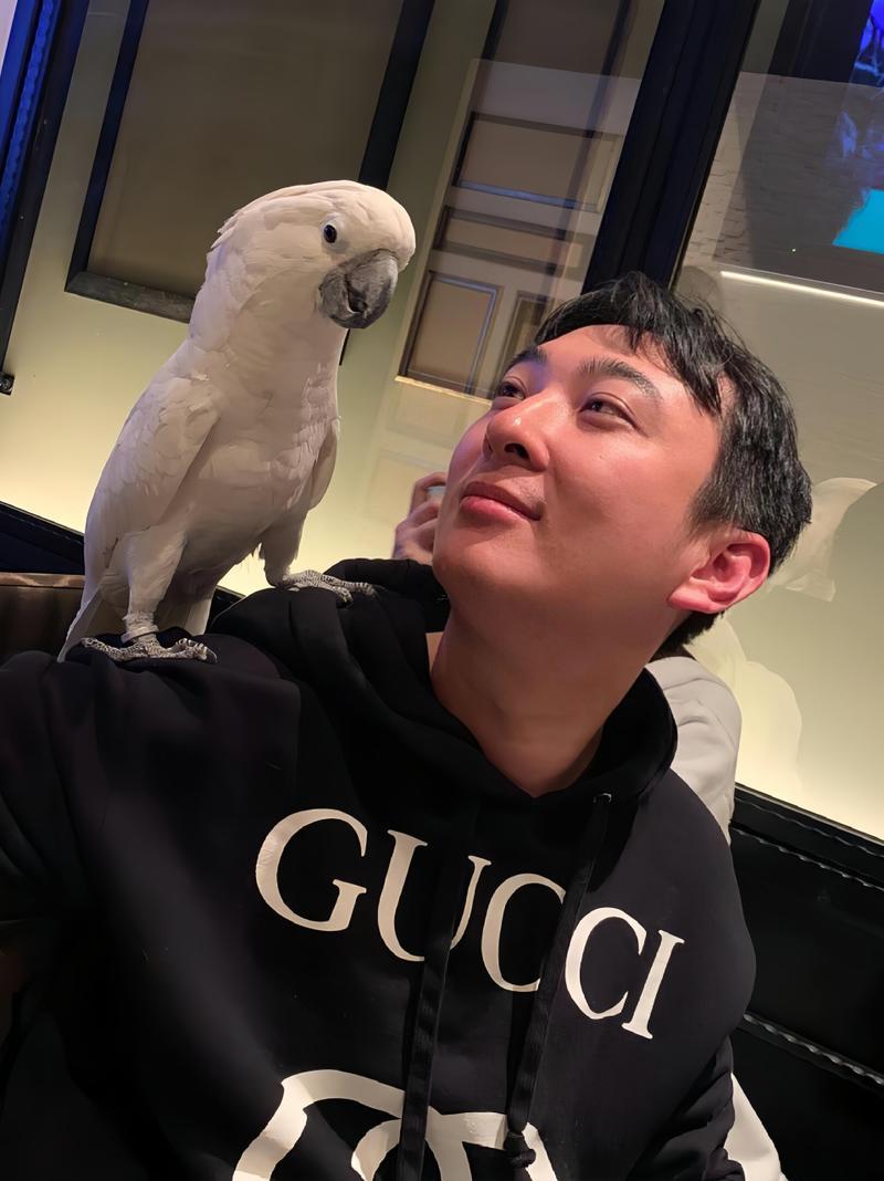 王思聰什么星座