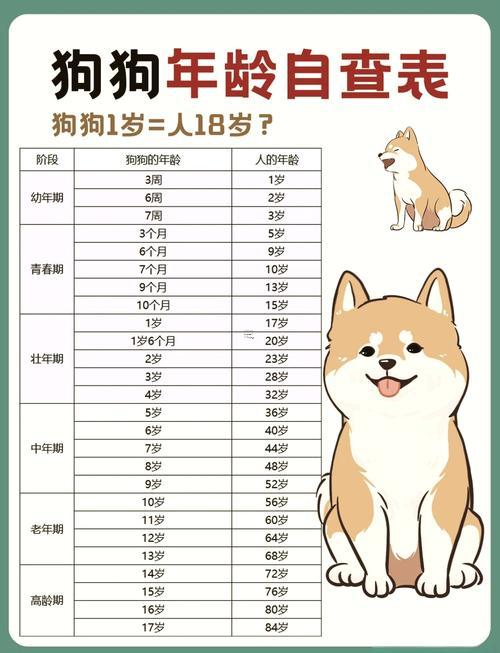 1995年屬狗的多少歲