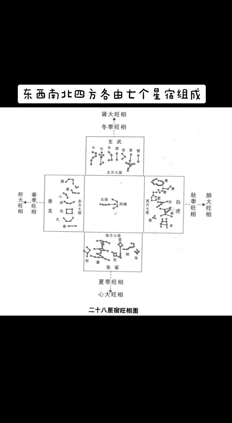 青龍朱雀白虎玄武