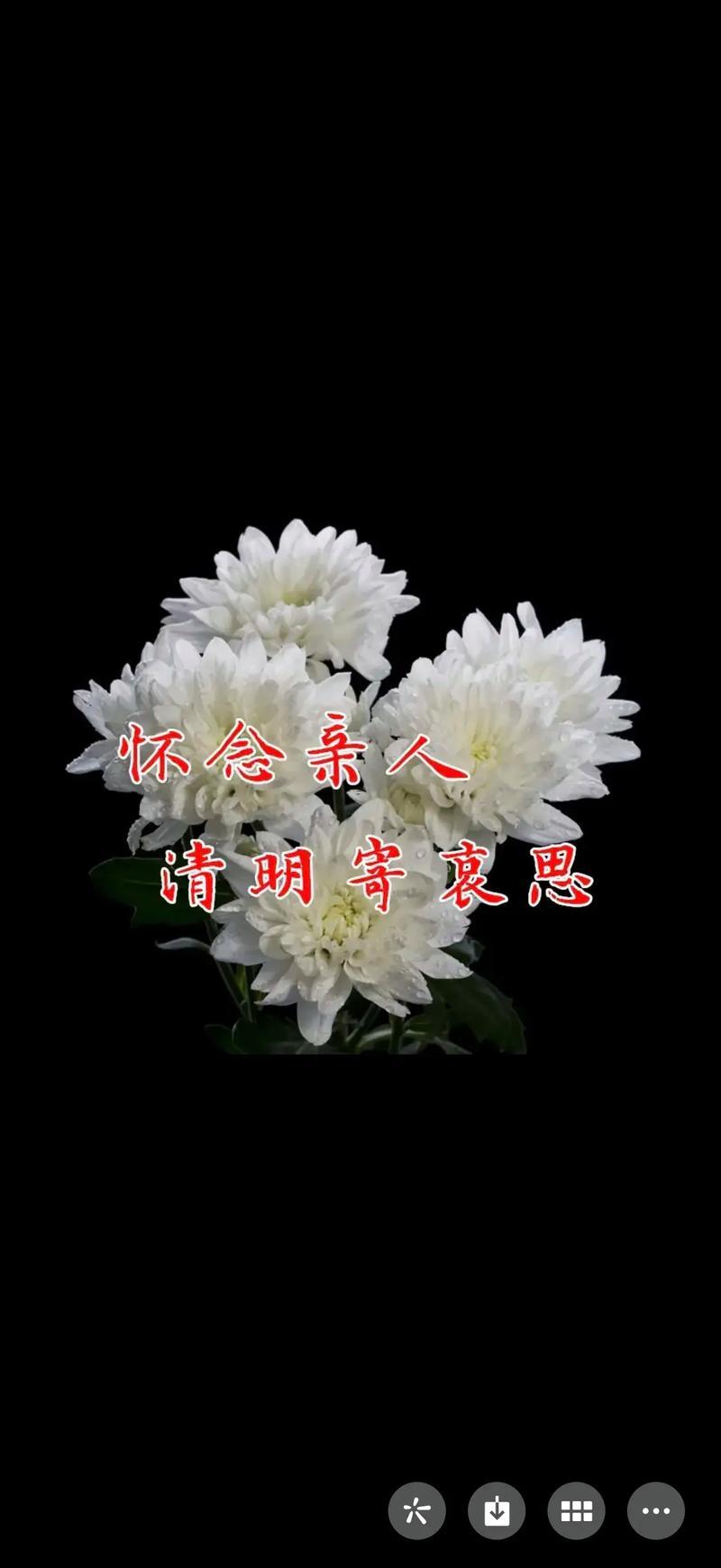 3月3日是清明嗎
