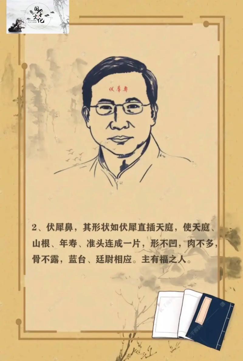 鼻子高面相學(xué)有什么優(yōu)點 