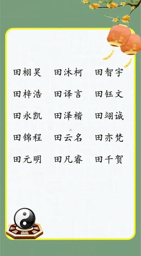 田姓男孩起名