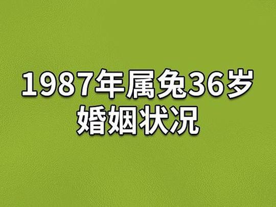1987是何事兔