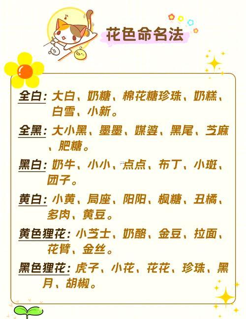qq寵物的名字