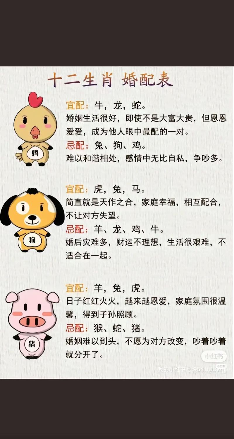 十二生肖婚姻表