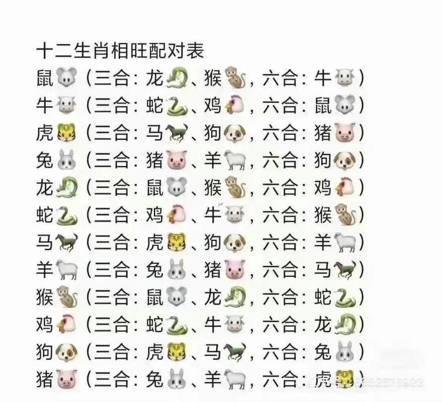 龍和鼠合不合