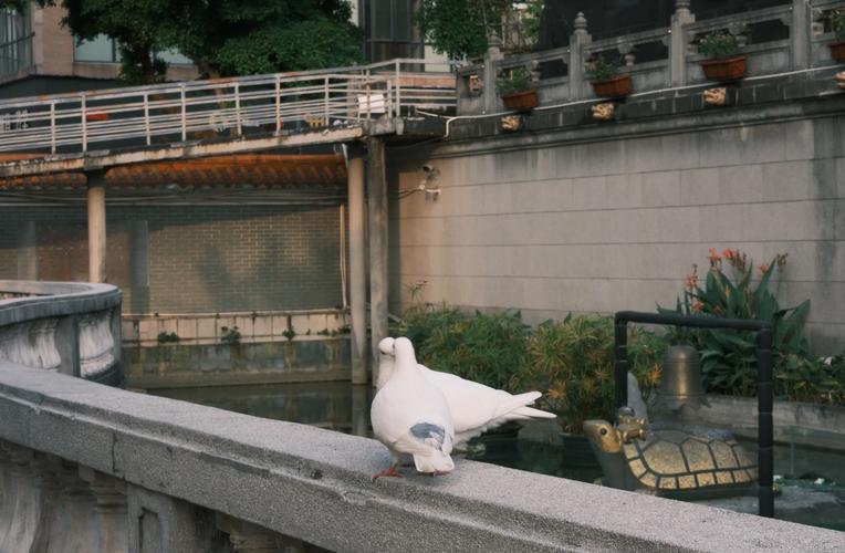 周公免費(fèi)求簽