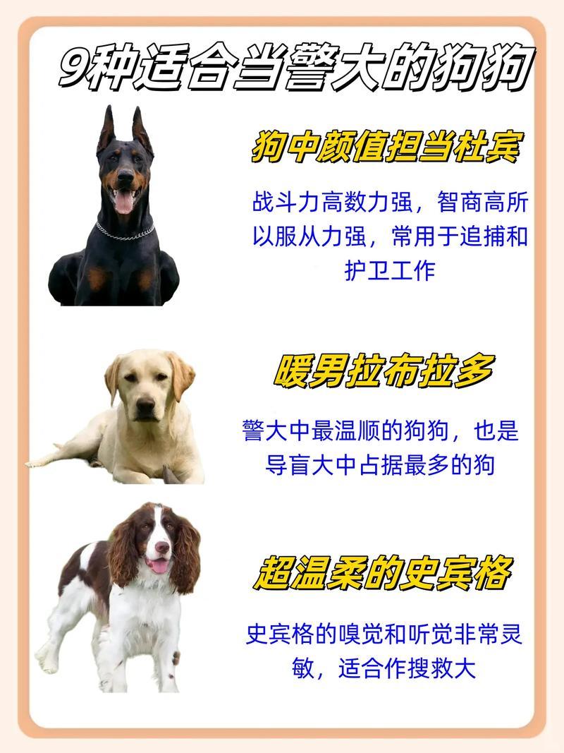 狗狗名字