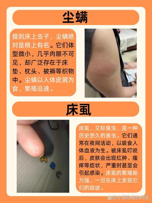做夢夢到好多蟲子