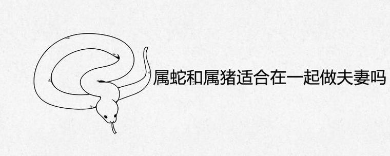 屬豬還有屬蛇的能在一起做生意嗎