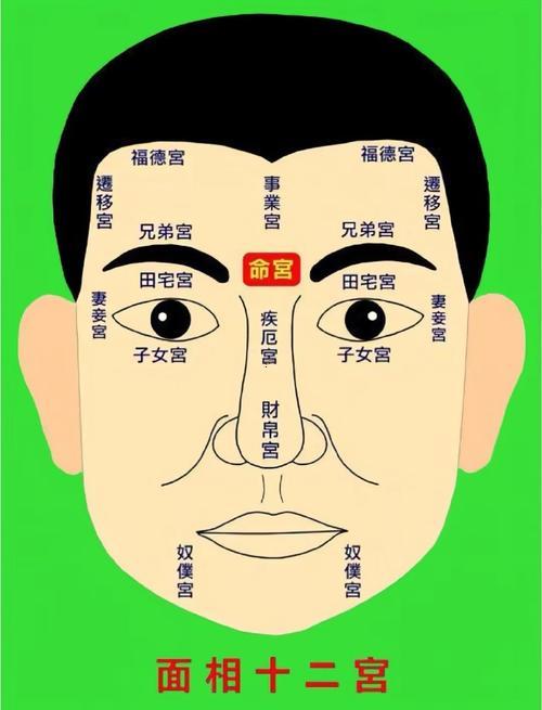 相術(shù)大全圖解
