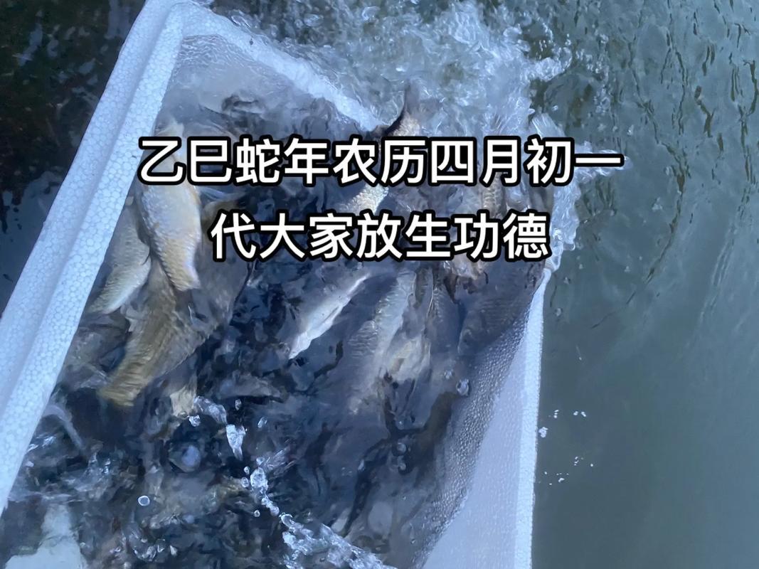 2025年9月放生好日子