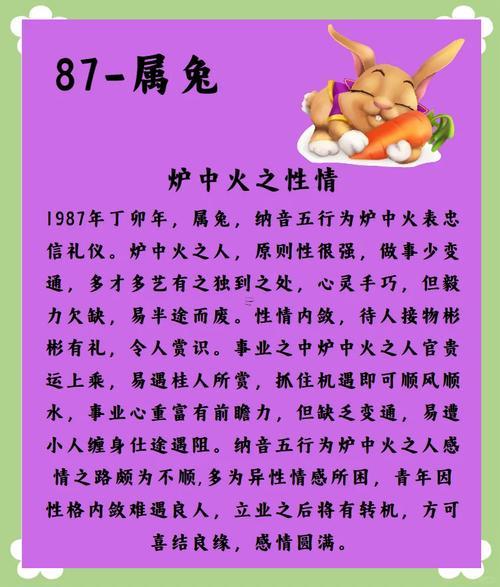 2025年屬兔的運(yùn)氣