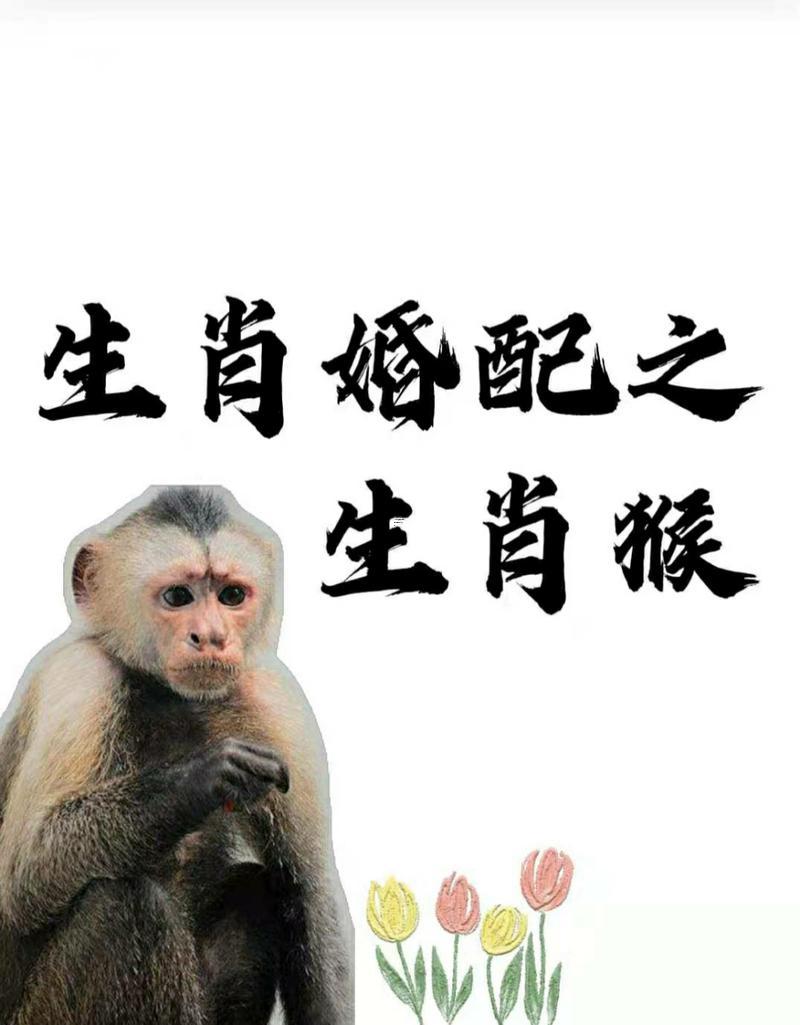 屬猴男同屬猴女般配嗎合婚嗎