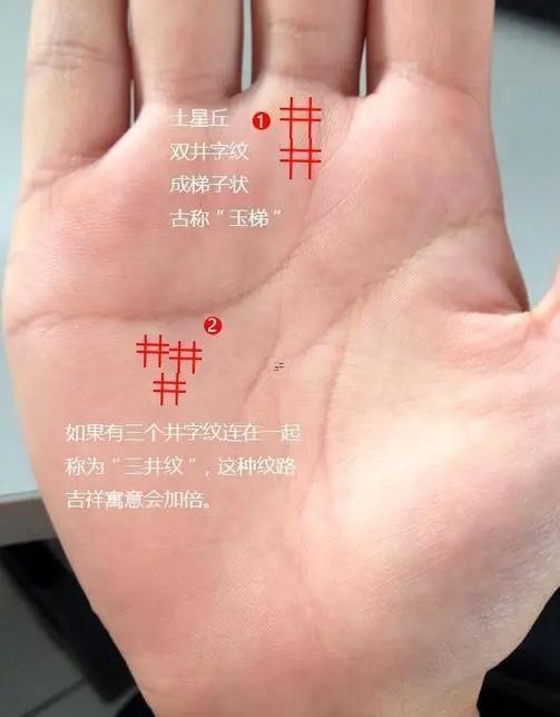 富豪手相事業(yè)線