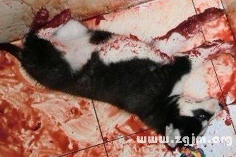 夢(mèng)見有人追殺自己