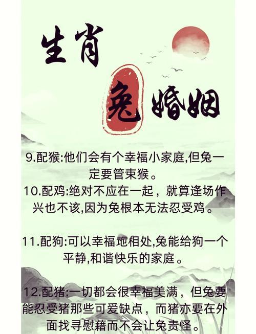 男鼠女兔相配嗎