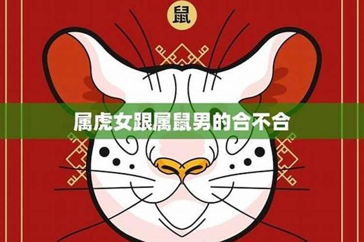 鼠跟虎合不合