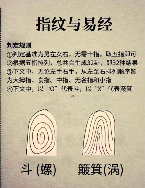 女人右手手相圖解大全