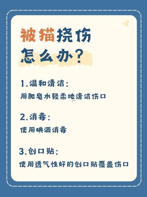夢(mèng)見(jiàn)被貓撓