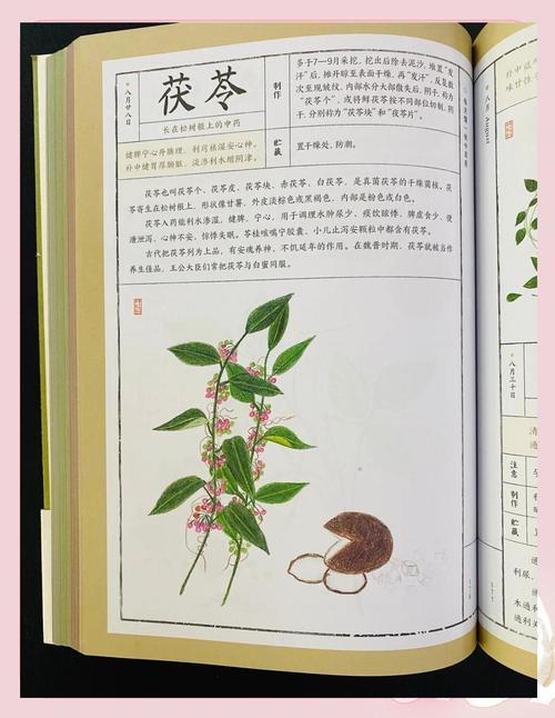 草藥名稱