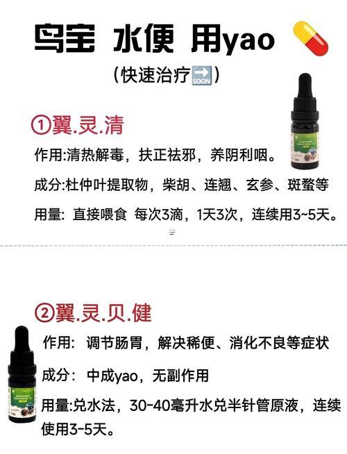 鳥(niǎo)屎掉身上有啥預(yù)兆