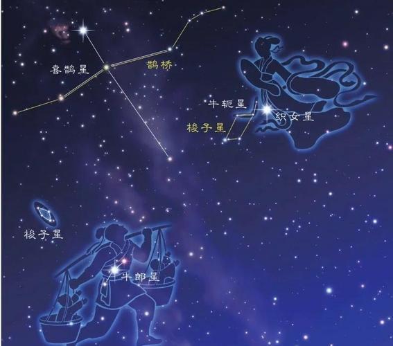 牛郎星屬于啥星座