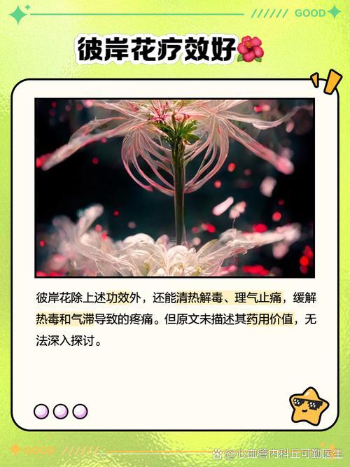 家里千萬不能養(yǎng)的6種花